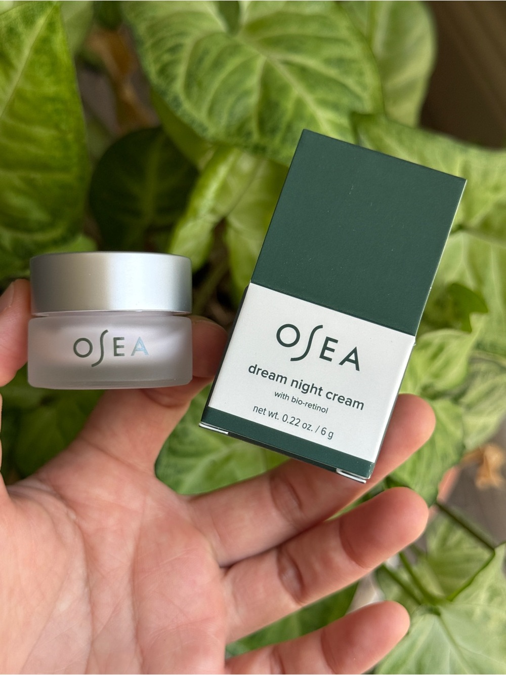 OSEA Dream Night Cream with Bio-Retinol - Mini Size 6g | Brand New